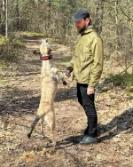 Windbreaker Sammy – Bild 2